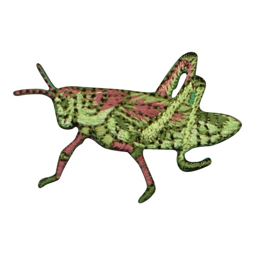 Grasshopper applique patch - grasshopper,